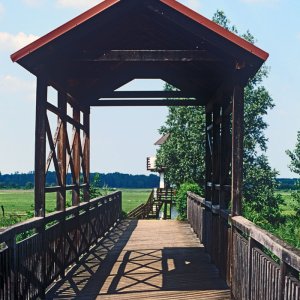 Brücke von Andau