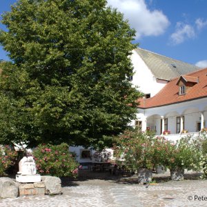 Cselley-Mühle