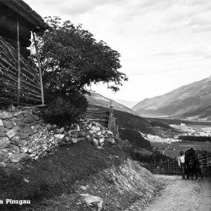 Wald im Pinzgau