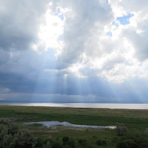 am Neusiedlersee