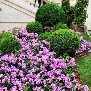 Garten der Lüste - Schweizer Hof Wiener Hofburg