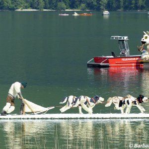 Der Schlittenhundeführer und seine Huskys - Narzissenfest Bad Aussee