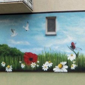 Graffi im Stadtbild