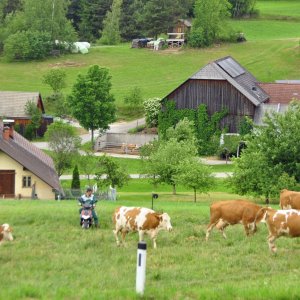 Ansichten aus Pretrobruck im Waldviertel