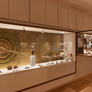 "Idolvitrine" in den Museen der Stadt Horn (Höbarthmuseum)