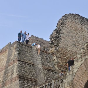 Leben auf der Theodosianischen Mauer