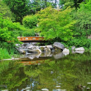 Setagaya-Park