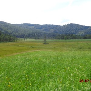 Egelsee Moor