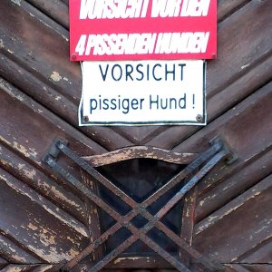 pissiger Hund