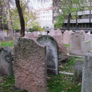Friedhof Seegasse