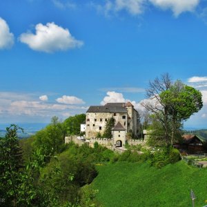 Burg Plankenstein