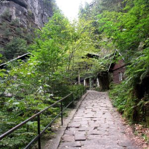 Sächsische Schweiz -Weg zum Amselfall