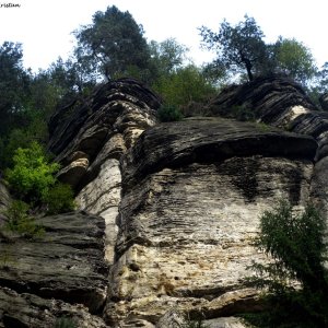 Sächsische Schweiz - Beim Amselfall