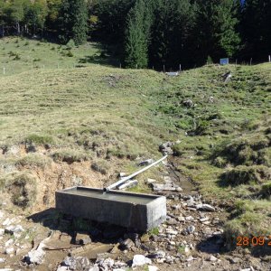 Brunnen auf der Alm