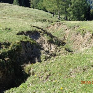 Erosion auf der Alm