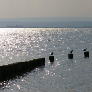 Der Neusiedlersee bei Illmitz