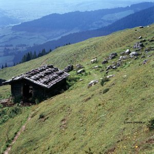 Lechner Alm bei Maria Alm