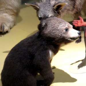 Naturalis Leiden