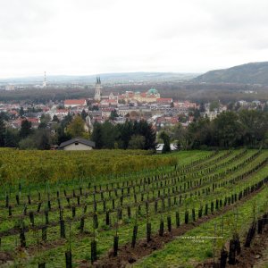 Spurensuche Klosterneuburg