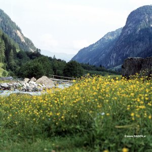 Habachtal