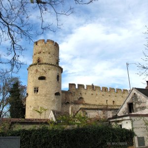 Burg Laa an der Thaya