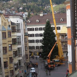 Innsbruck Weihnachtsbaum aufstellen