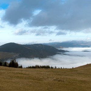 altes-almhaus-nebel