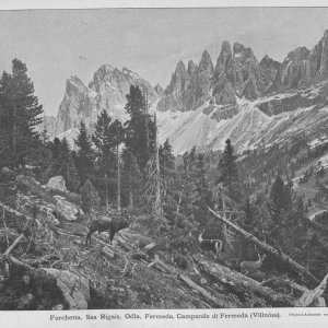 Reise durch das Bayerische Hochland und Tirol um 1910