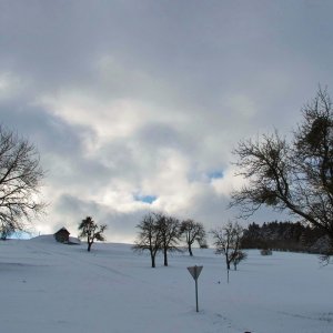 Winternachmittag