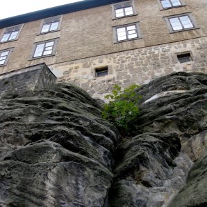 Quedlinburg Schlossberg mit Damenstift