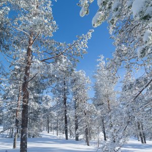 Schneeschuhwanderung-2