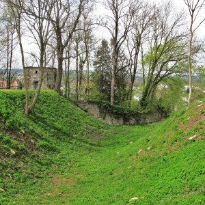 Halsgraben Schloss Ulmerfeld