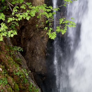 Gollinger Wasserfall - 4