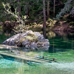 Grüner See - 6 - Unterwasserbrücke