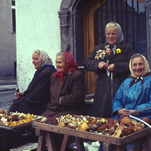 Pilzverkäuferinnen Tabor