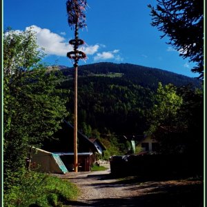 Der Maibaum