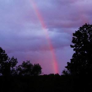 Regenbogen