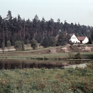 Im Waldviertel