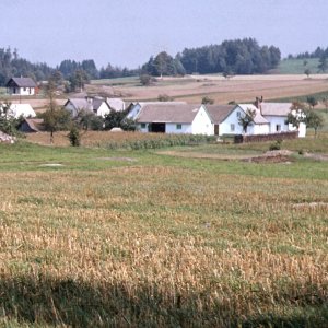 Im Waldviertel