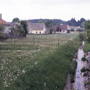 Im Waldviertel