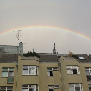 Regenbogen