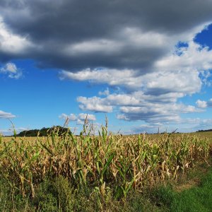 Wolken