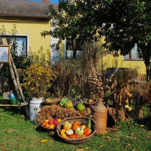 Erntedank im Vorgarten