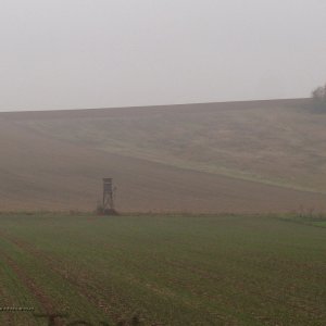 Herbst im Weinviertel