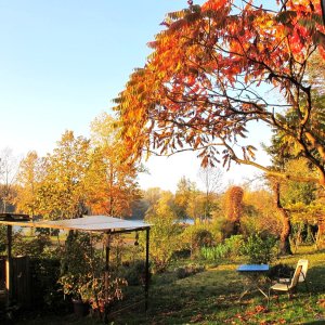 Herbst-Garten