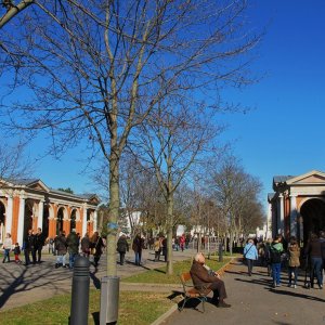 Allerheiligen Wiener Zentralfriedhof