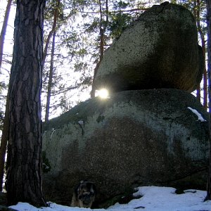 Wackelstein in Langschlag