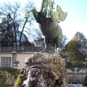 Pegasus