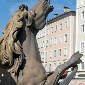 Brunnen, Detail