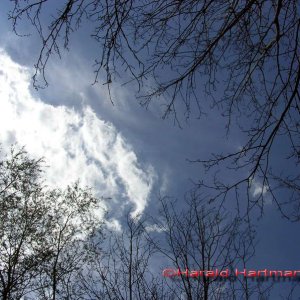 In den Himmel schaun